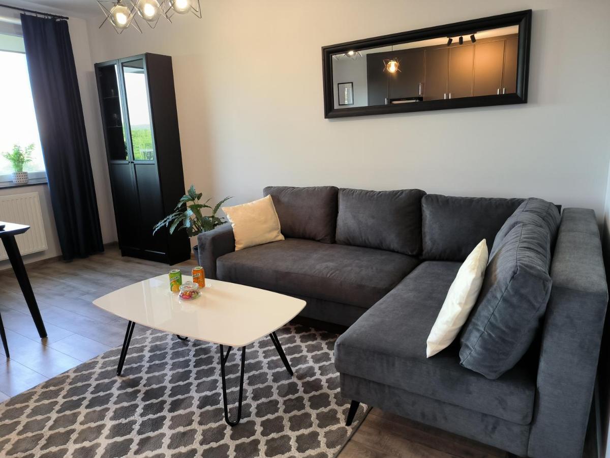 Apartament Stanczyka - 42M2 Krakow Luaran gambar